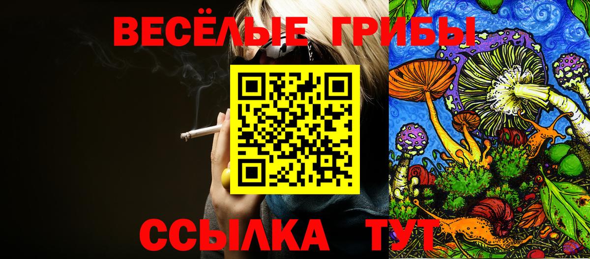 Псилоцибиновые грибы прущие грибы Гусь-Хрустальный